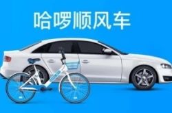 [10分钟教程]淄博 咨询公司_哔哩哔哩-3